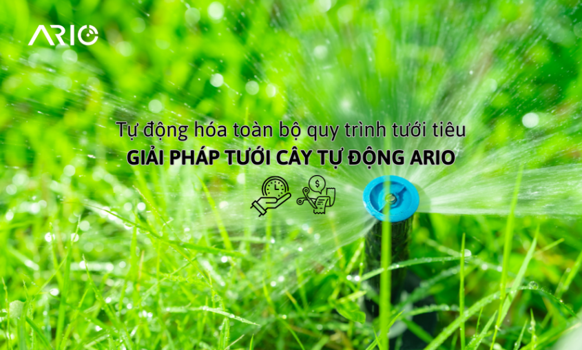 Tưới tiêu tự động 4